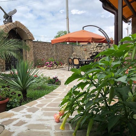 Гостевой Дом Siella Hotell Sukhumi Exteriör bild