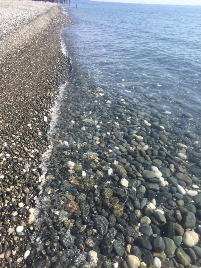 Гостевой Дом Siella Hotell Sukhumi Exteriör bild